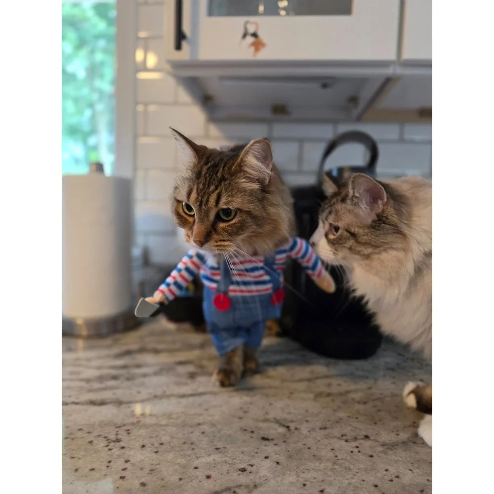 Chucky Doll cat dog outfit small fits my 10lb cat perfect